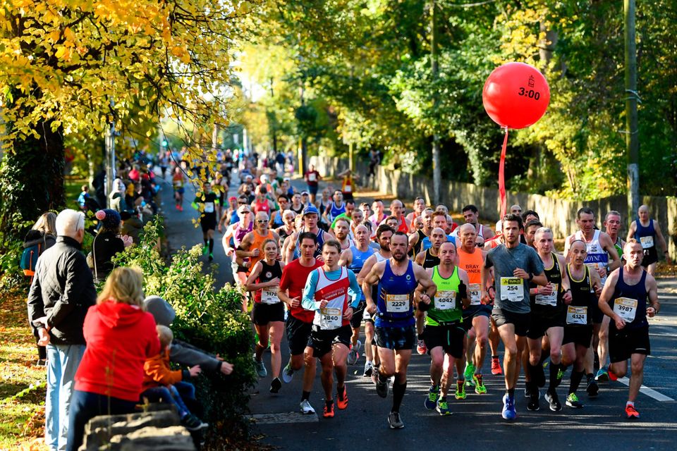 Competitors at Bushy Park during the 2019 KBC Dublin Marathon. Picture: Sportsfile