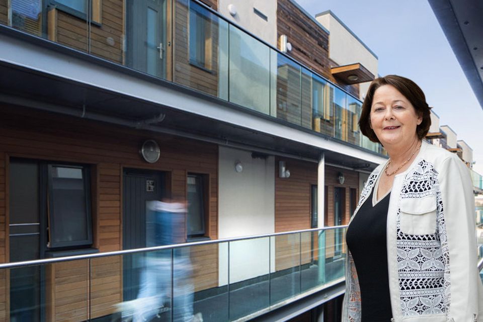 Margaret Sweeney is the CEO of Ires Reit and has seen the trust's share price plunge