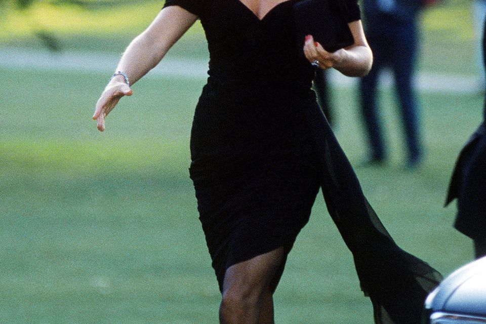 Diana: A life in style | Irish Independent