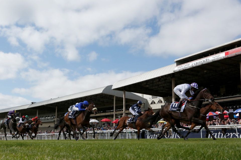Curragh Racecourse. Photo: Getty Images