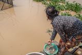 thumbnail: A woman collects small fish in the floating village