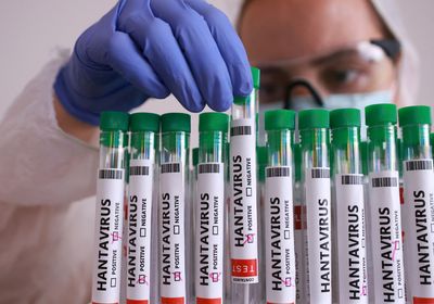 Hantavirus outbreak highlights dangerous gaps in worldwide defences