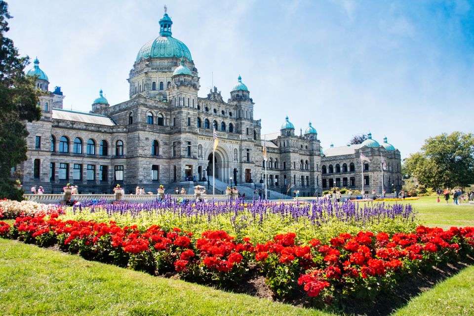 hyhyhyhyh | Irish Independent Have a whale of a time in Victoria, Canada’s great overlooked city