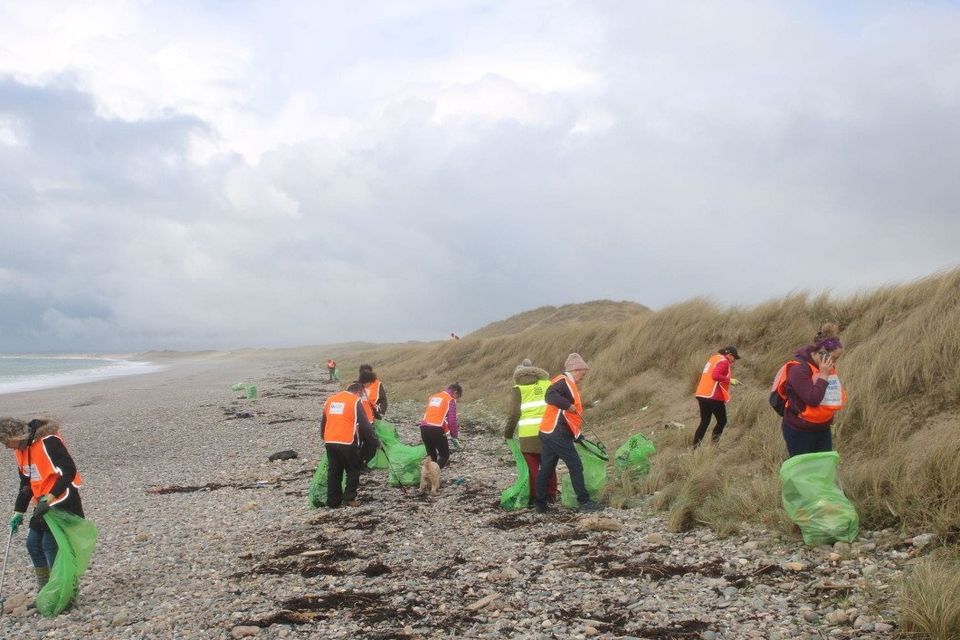Litter pickers in action at Ballyteigue Burrow in Kilmore Quay.
