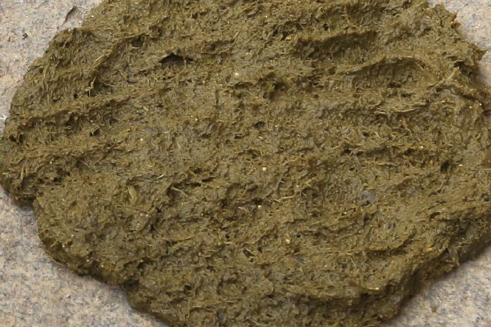 Cow dung patties selling like hot cakes online in India | Irish Independent