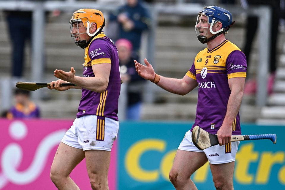 Wexford's Damien Reck, left, and Kevin Foley react to a referee's decision during their clash with Antrim. Photo: Sam Barnes/Sportsfile