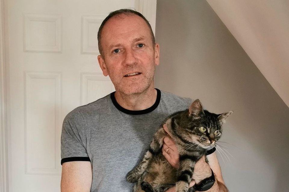 Phoebe was excited to return home and be reunited with owner Brian Savage
