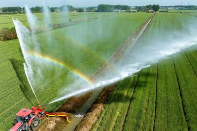 Wheat falls to lowest in nine months as key harvests draw nearer