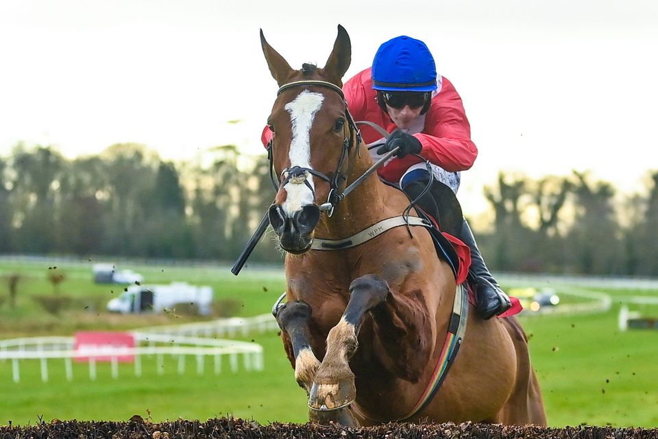 Sir Gerhard, with Paul Townend up, jumps the last on their way to winning the Daly Farrell Chartered Accountants Beginners Steeplechase at Gowran Park in January. Photo: Seb Daly/Sportsfile