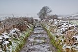 thumbnail: Knocknarea, Sligo. Last of the winter snow. "This is the walkway up Knocknarea towards Queen Maeve's Grave." Photo: Colin Gillen / Framelight.ie