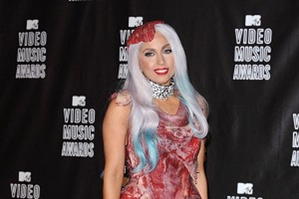 Taxidermist saves Gaga's meat dress | Irish Independent
