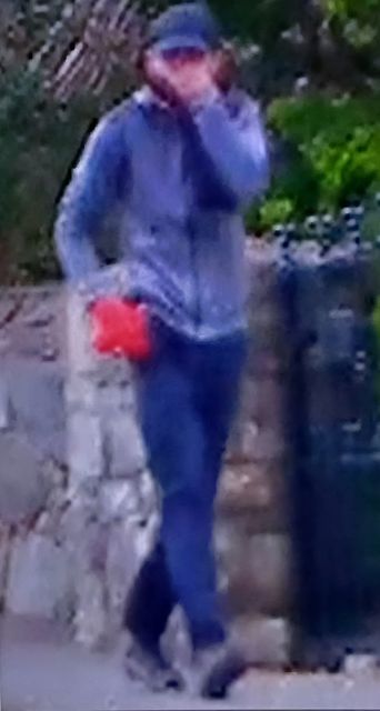 One of the suspects gardaí are hoping the public will help identify.