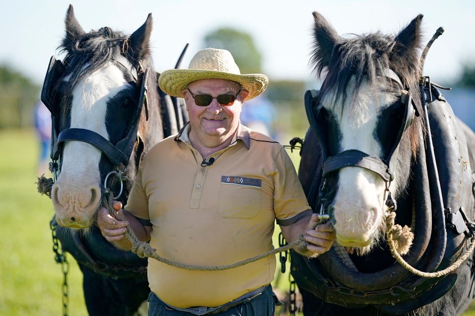 Gerry North from Offaly with horses Rooney (left) and Sunny  at the National Ploughing Championships at Ratheniska, Co Laois. Photo: Niall Carson/PA Wire