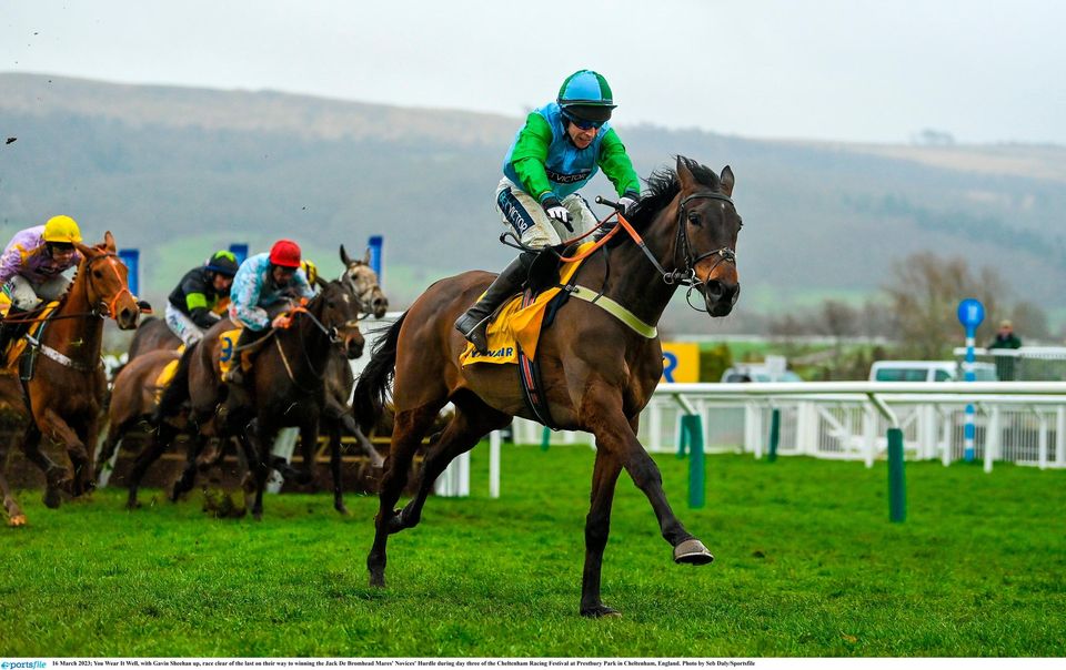 You Wear It Well wins Cheltenham Mares’ Hurdle dedicated to memory of