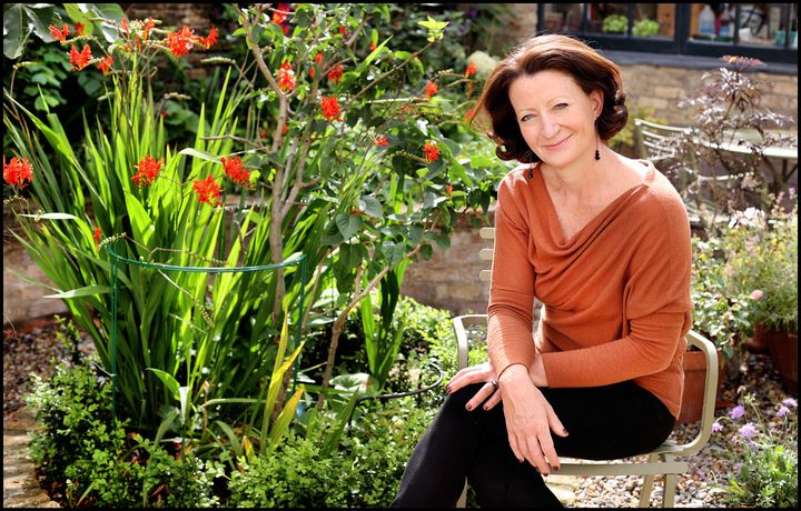 Other People’s Lives is Kathleen MacMahon’s ‘life of a woman who, when her children are eventually out from under her feet, might look for a second act’