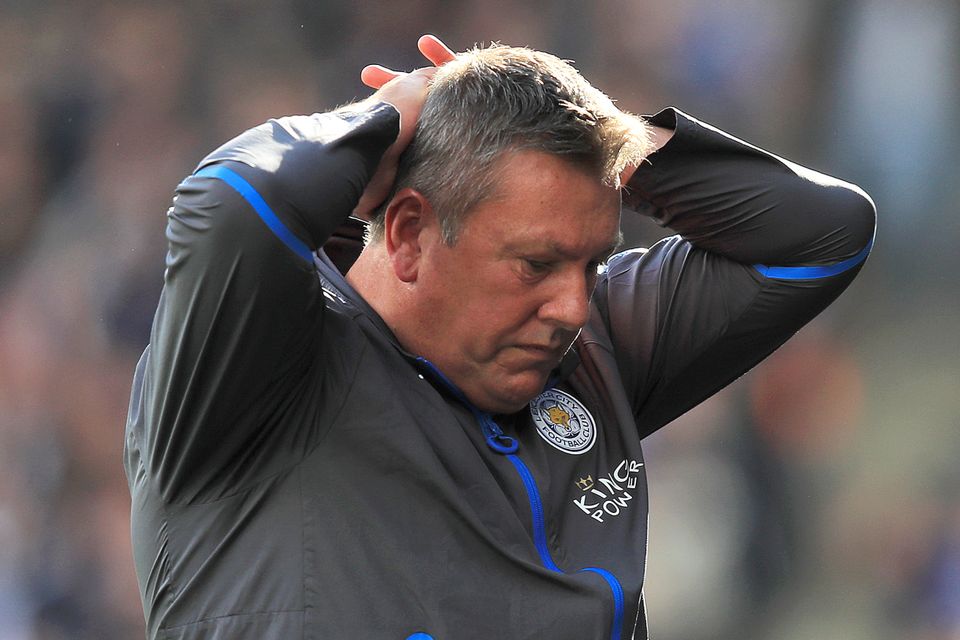 Craig Shakespeare has been dismissed by Leicester
