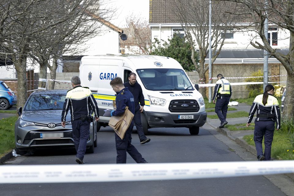 Gardai search near the scene at Grange View Way.  Photo: Collins