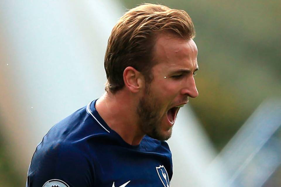 Gareth Southgate: ‘You could see right from the start in training that Harry Kane’s finishing was deadly’. Photo: Getty Images