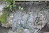 thumbnail: Storm water overflow at River Liffey Credit: Dr Frances Lucy