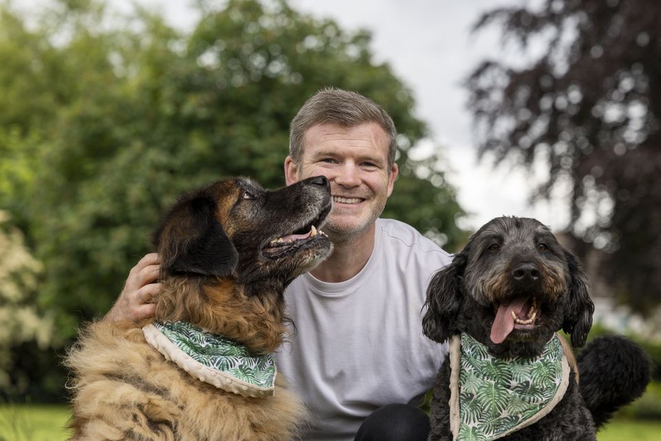 Gordon D'Arcy with his dogs Albert, left, and Barney. Photo: Tom Honan