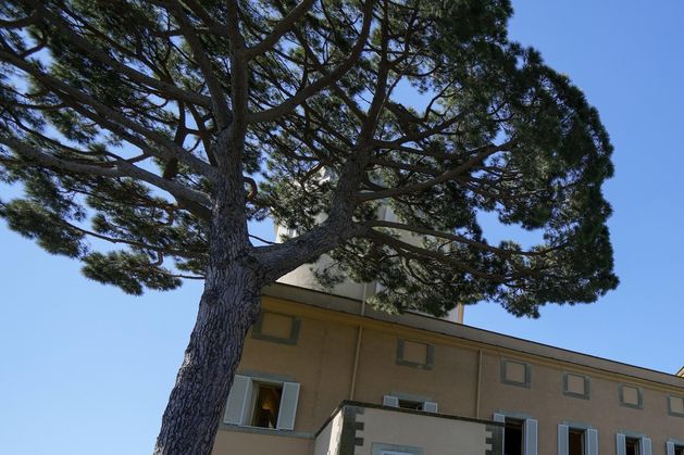 Pope Leo XIV leaves the Vatican for six-week holiday at his summer residence in Castel Gandolfo