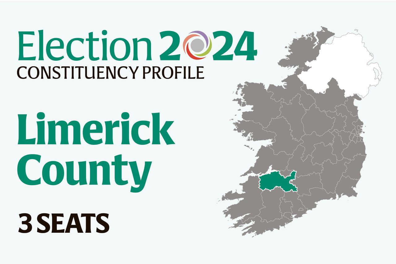 Limerick County Election 2024 Who are the candidates and who could