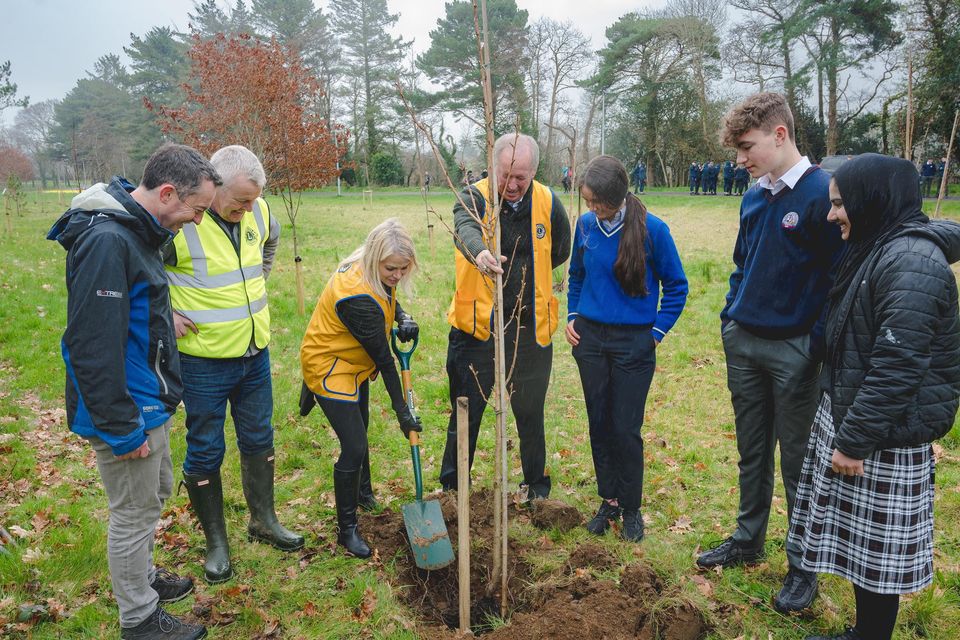 All the way from the USA Lori Sheehan with her husband Global President of Lions Club Brian Sheehan plants one of many trees at Maurice O'Donoghue Park with local secondary school students. Pictured l-r were: Denis Doolan (Lions Club President Killarney) John Fuller Lori Sheehan Global Lions Club President Brian Sheehan Aoibhín Kelly (St Brigid's Killarney) Sean O'Leary (St Brendan's College) and Aliza Gul (Killarney Community College). Photo by Marie Carroll-O'Sullivan.