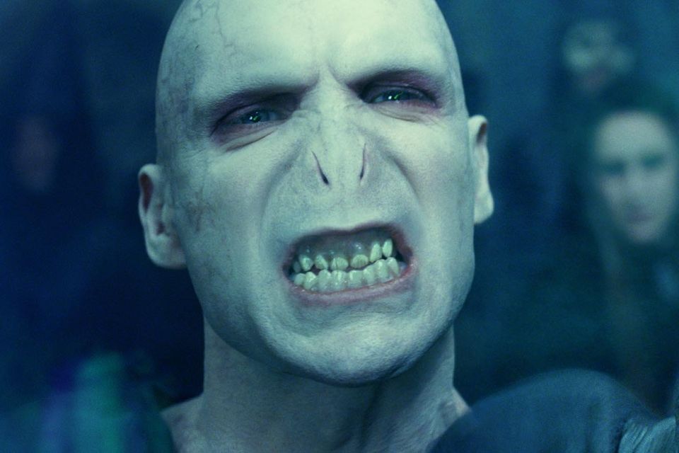 Leptanilla Voldemort was named after the 'Harry Potter' villain because of its long face and pale, ghostly features. Photo:  Warner Bros Entertainment Inc