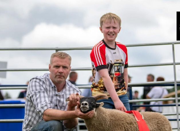 Sheep farming thriving on the Cooley peninsula 25 years after the silent spring of foot and mouth